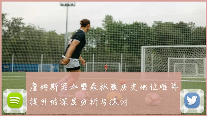 詹姆斯若加盟森林狼历史地位难再提升的深度分析与探讨