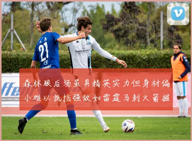 森林狼后场虽具精英实力但身材偏小难以抵挡强敌如雷霆马刺火箭掘金